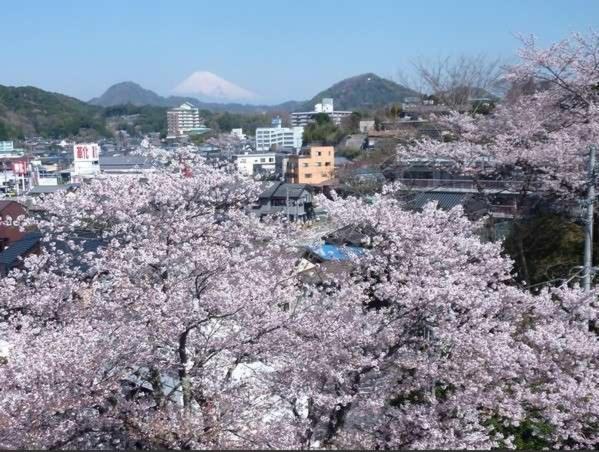 카메야 에안 호텔 이즈노쿠니 외부 사진